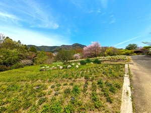 福知山ろく『花公園』♪〜花公園with福知山〜