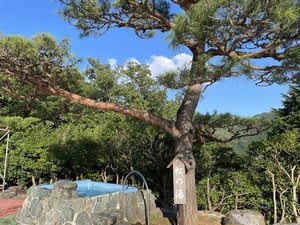 リゾートセンターみのりの夏季限定プールサイドの露天風呂