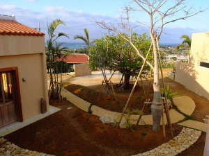 【沖縄県:本部・名護・国頭】SOMOS