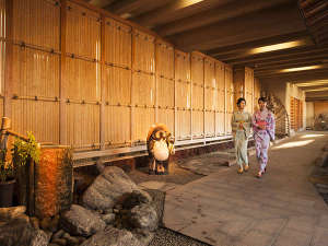 �y���挧:�F������z�F������ ������