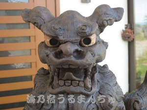 【沖縄県:本部・名護・国頭】海乃宿うるまんちゅ(コンドミニアムdeうるまんちゅ)