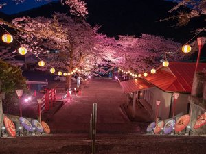 鬼怒川温泉夜桜ライトアップ〜鬼怒川万華郷〜