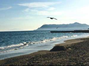 湯の川の海岸より。