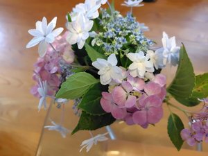 季節のお花