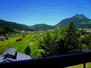 【熊本県湯布院の露天風呂付き客室のある宿】ゆふいん湯めぐりホテル山光園