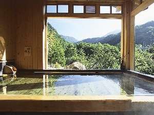 豊富な湯量が自慢。開放感あふれる自家源泉かけ流しの男女別内湯