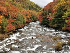 【竜頭の滝】華厳ノ滝に次いで有名な日光滝の一つ。奥日光エリアでは紅葉が訪れる時期が最も早い場所。