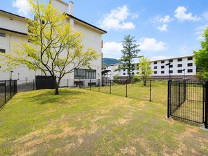 【森の広場のドッグラン】「小型犬専用エリア」「全犬種フリーエリア」と分かれております(一例)