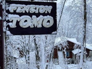 �y���V�����Ƃ��̎ʐ^