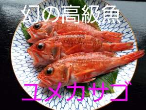 h̎{ݎʐ^1