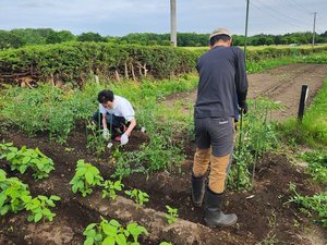 【PACO農園】私たちの手で野菜を育てています。収穫した野菜は朝食で提供いたします♪