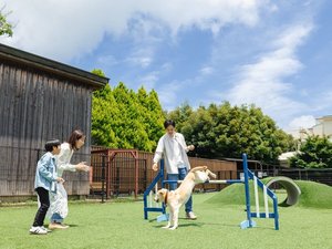 dog park