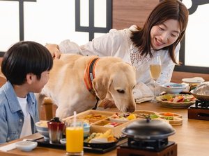 レストラン利用イメージ:レストランにもわんちゃんとお入りいただけます。