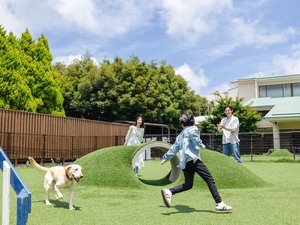 dog park