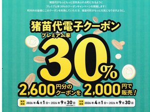 ���c��v���~�A���d�q�N�[�|��