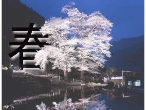 �t