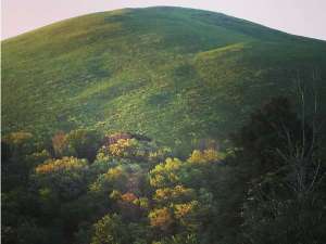 大室山色模様