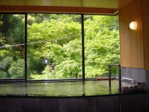 加満田 神奈川県湯河原温泉 口コミ 宿泊予約