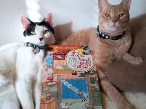 �y���쌧:���n�E���J�z���B���ق݂Ȃ݉� �� �ʓ@�˂����݂Ȃ݉�