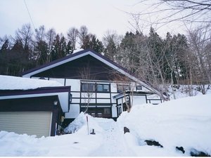 ���g���[�g���������̎ʐ^