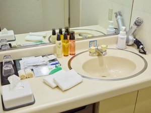 洗面台は脱衣所とバスルームの2カ所ございます