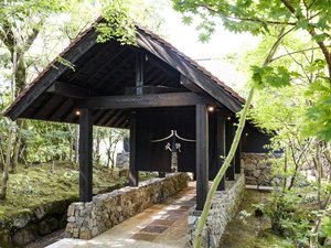 四季とともに木々達が変化するエントランス