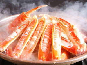 �y���Ɍ�:���Z�E�l��E�����z��h����