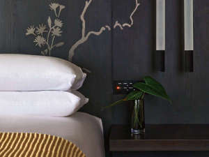 �q���C���e���A