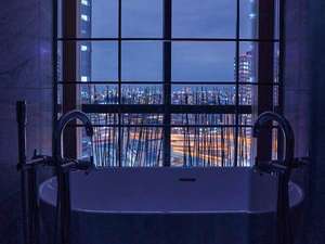 �r���[�o�X