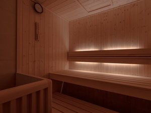 �y25�N12���V�݁z�T�E�i�X�C�[�g