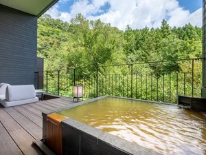 �y�{�錧:���΁E�����E�����c�zTHE YUKAWA �꞊�x�X