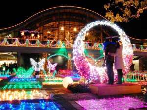 �y���ق���Ԃ�20���z�{��ő�̃C���~�l�[�V�����I�t���[�����e�@���̉ԉ��ɐS�Ƃ��߂��܂���