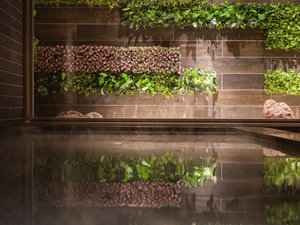 pH9.7�̃g���g���V�R������A���Ԃ��C�ɂ����j���ʂł��������������܂�