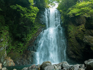 ���ɓ��ɂ͑�̖�������������B