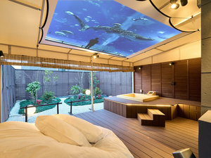 ̑@ٓV@뉀ʓ@̎{ݎʐ^1