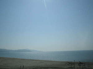 きらきら輝く青い海