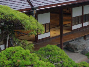 大広間からしんしんと降る雨を眺めるだけで、落ち着いた時間を過ごせます。