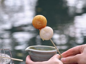 こたつ舟でお団子プラン