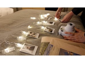 �z�e�����q����y���ށI�f����ǋ���