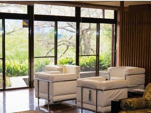 �J�b�V�[�i�E�C�N�X�V�[��sofa