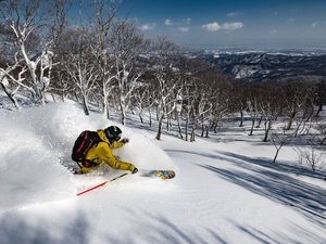 �X�ƌ΂̗��@��ѐΉ���@�������ق̎{�ݎʐ^1