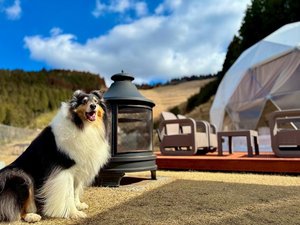 阿蘇の空と焚火に包まれ、愛犬とくつろぐ贅沢グランピング時間