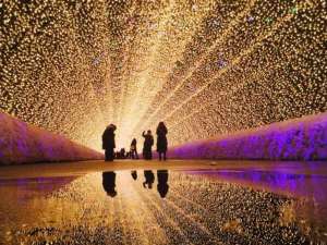 なばなの里 光の回廊 雨の日は水溜まりに反射してより幻想的に!