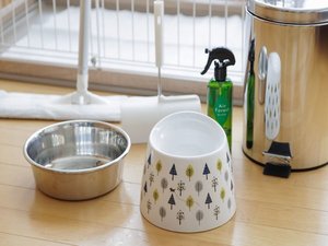 �y2026�N4��11���`�z��񂿂��O�b�Y�ꎮ���������ɂ��p�Ӂi�摜�̓C���[�W�j