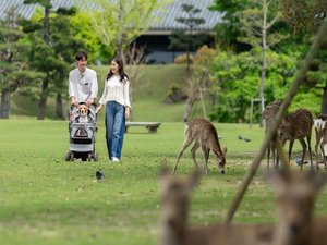【わんちゃん同伴可!】奈良公園