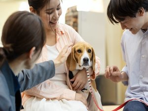 旅先でもいつものように。わんちゃんが安心している姿にホッとします。