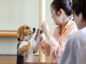 大切なわんちゃんと一緒に泊まれる喜び♪
