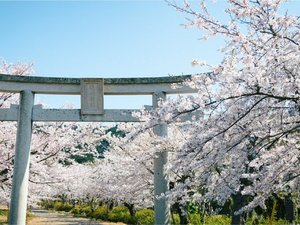 �y���ӊό��z�B��_��