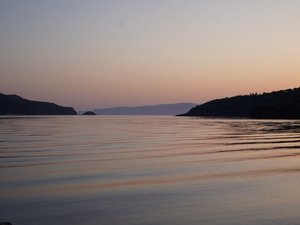 �C�̏�ŕY���Ă��邩�̂悤�ȑ؍݂��B