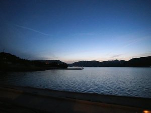 �C�̏�ŕY���Ă��邩�̂悤�ȑ؍݂��B